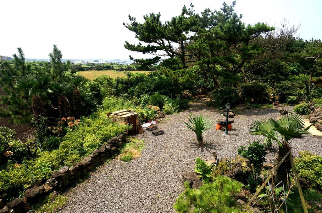 Nattrang Pension Jeju Bagian luar foto
